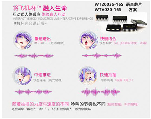 飛機(jī)杯語音IC,成人用品語音方案,情趣用品語音芯片推薦